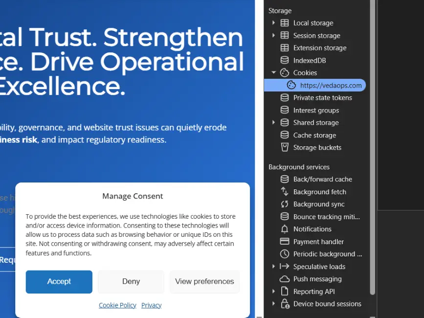 Website Technical Audit m