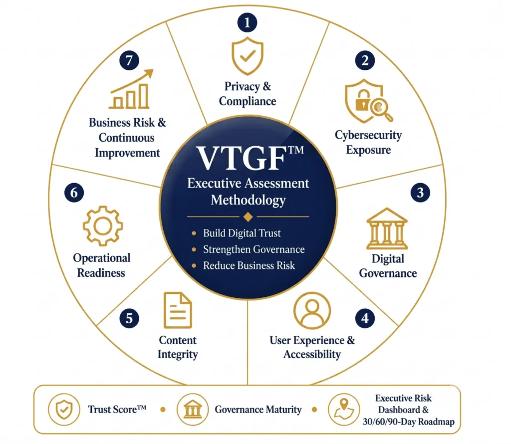 ⭐ VTGF™ Executive Assessment